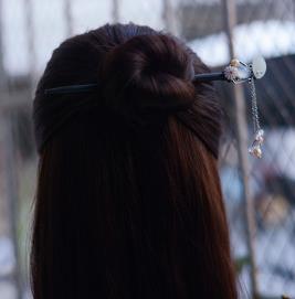 Oriental Carp Chinese Hairpin