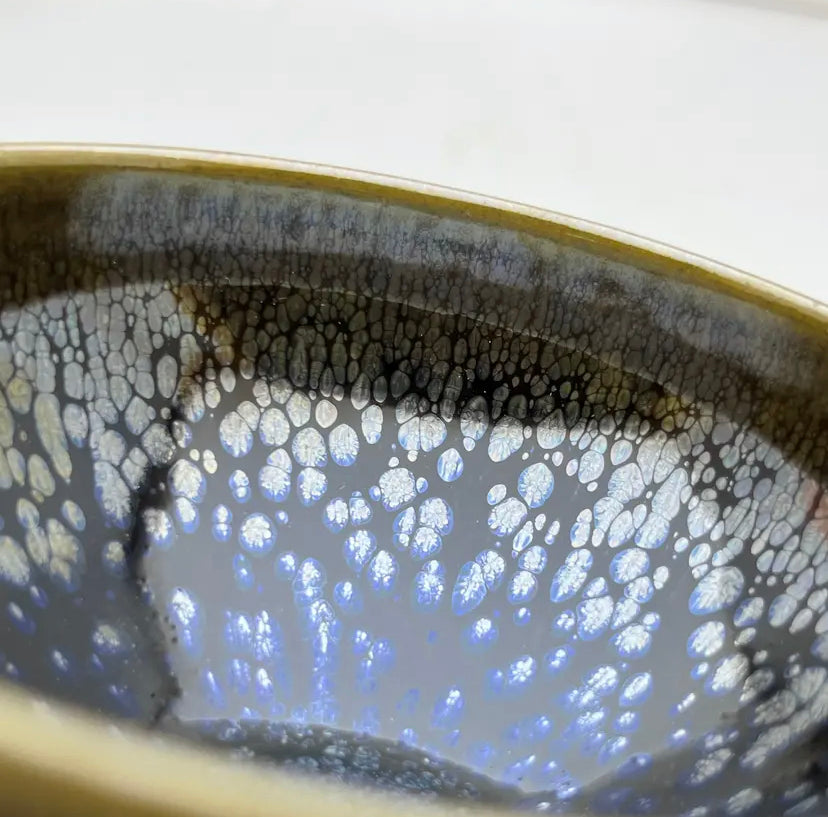 Oriental Carp Jian Zhan Glaze