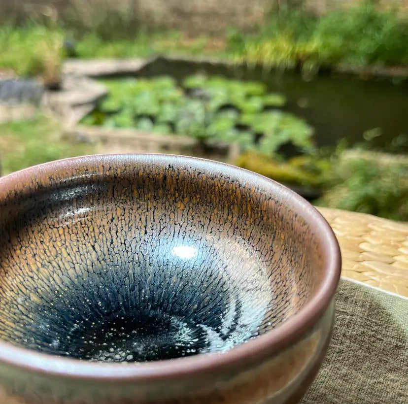 Oriental Carp Jian Zhan Glaze