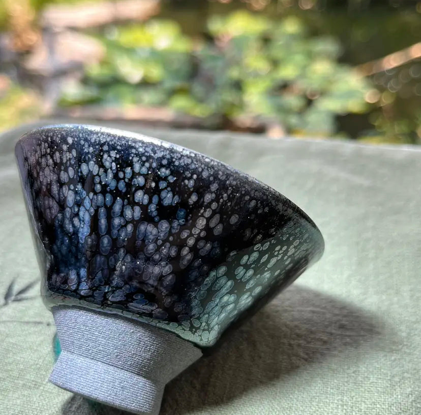 Oriental Carp Jian Zhan Glaze