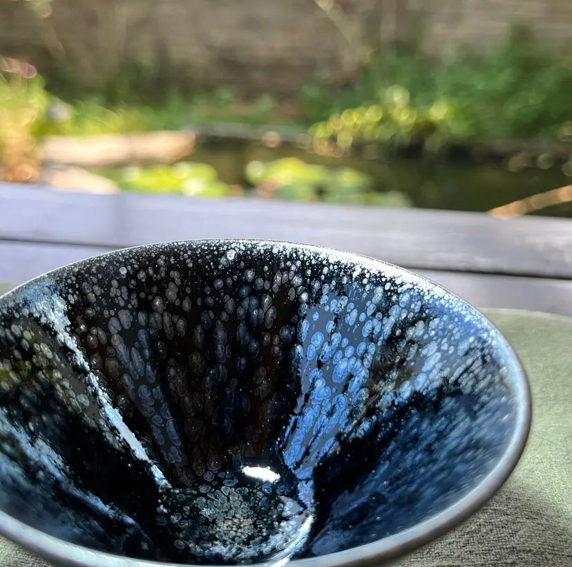 Oriental Carp Jian Zhan Glaze