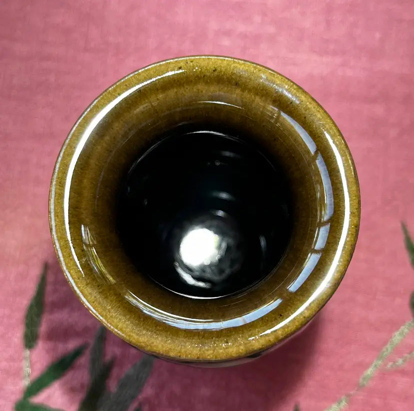 Oriental Carp Jian Zhan Glaze