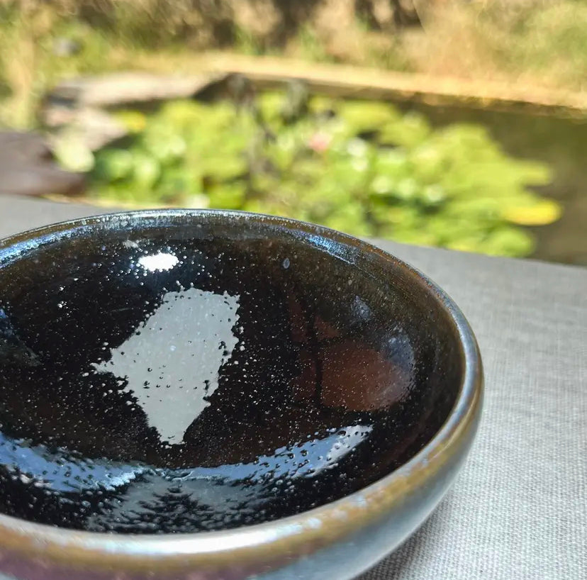 Oriental Carp Jian Zhan Tea Glaze