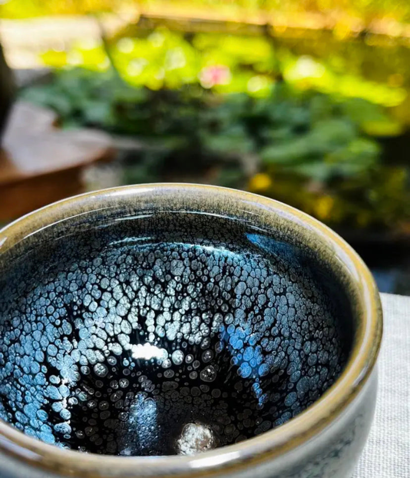 Oriental Carp Jian Zhan Tea Glaze