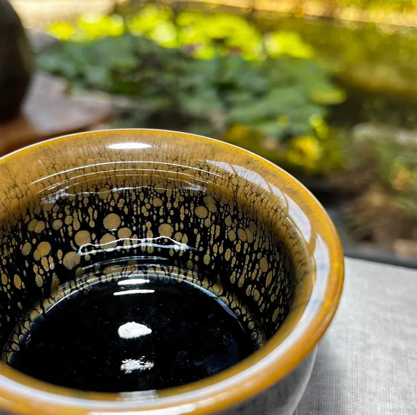 Oriental Carp Jian Zhan Tea Glaze