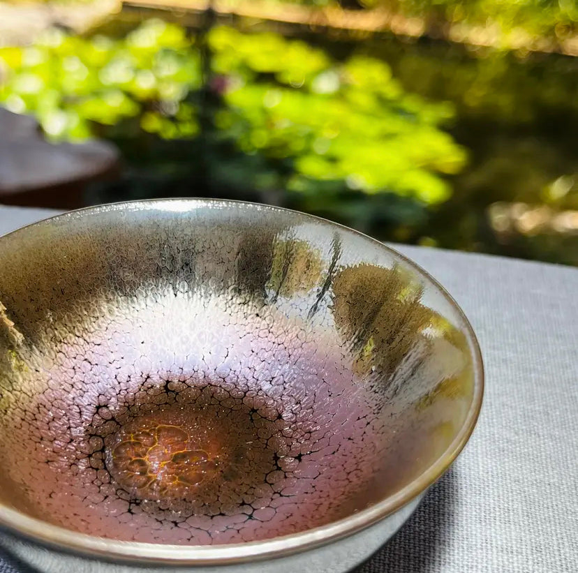 Oriental Carp Jian Zhan Glaze