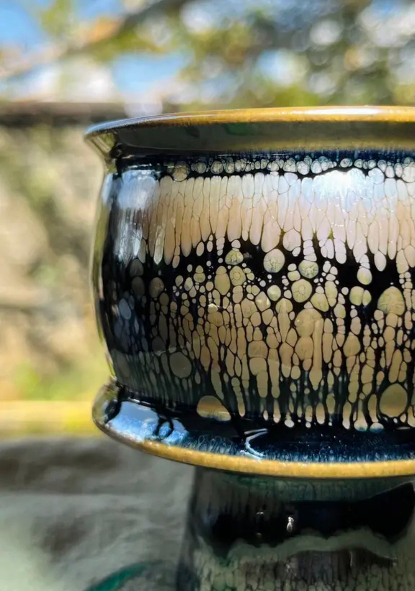 Oriental Carp Jian Zhan Glaze