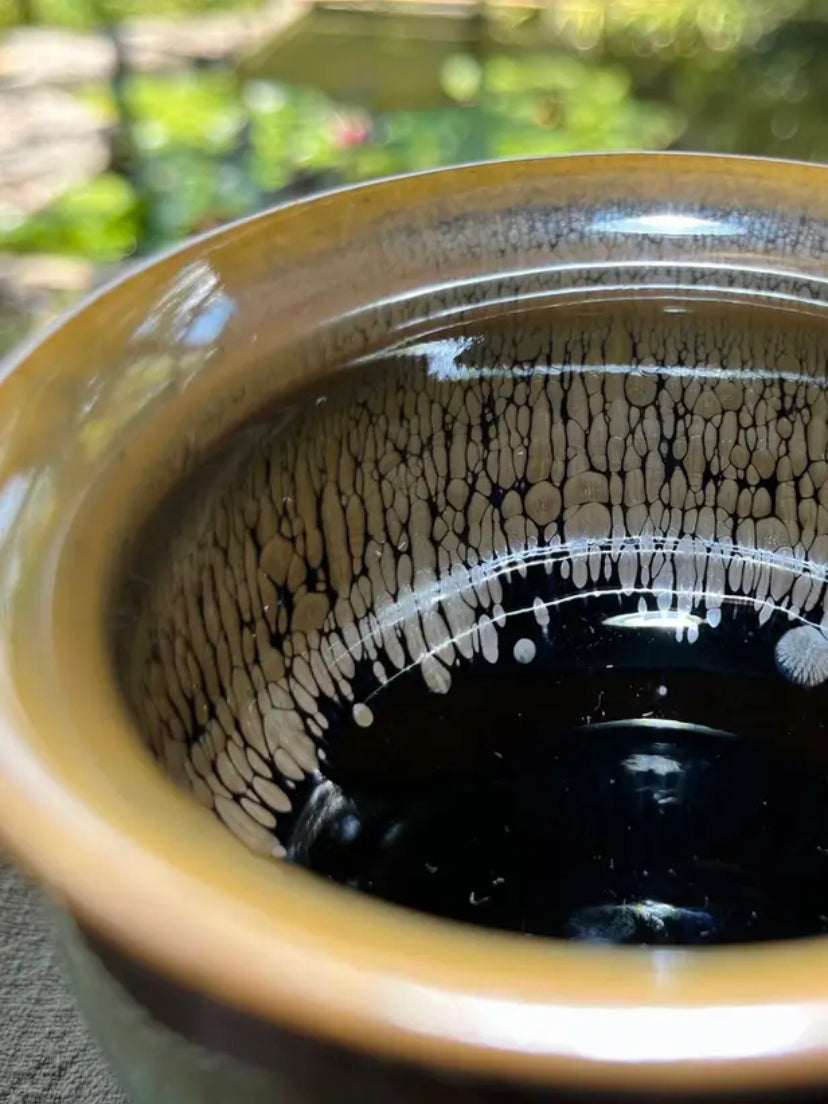 Oriental Carp Jian Zhan Glaze