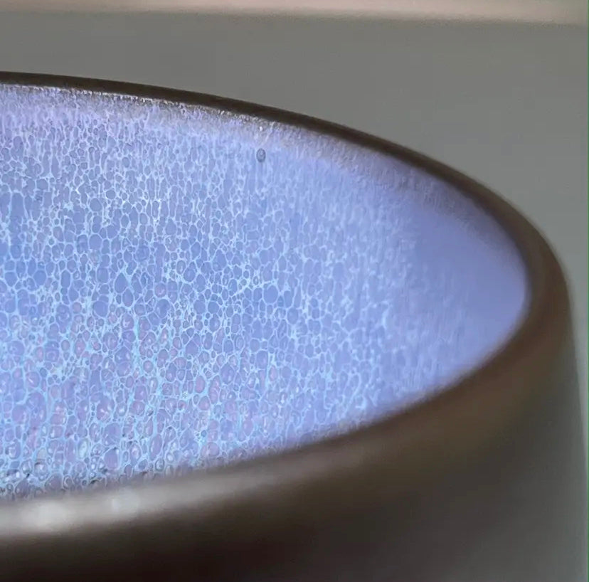 Oriental Carp Jian Zhan Glaze