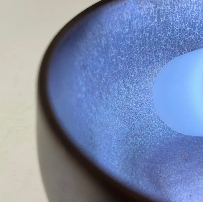 Oriental Carp Jian Zhan Glaze