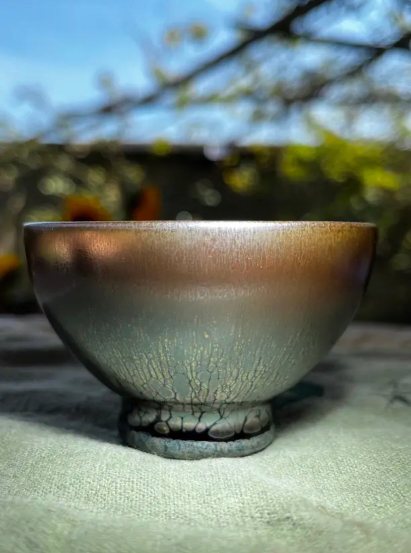 Oriental Carp Jian Zhan Glaze