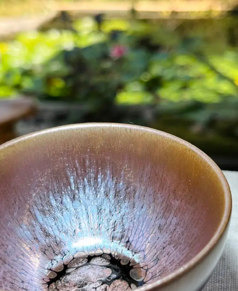 Oriental Carp Jian Zhan Glaze