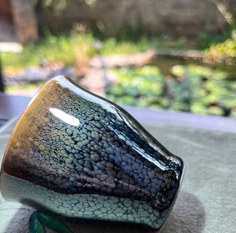 Oriental Carp Jian Zhan Glaze