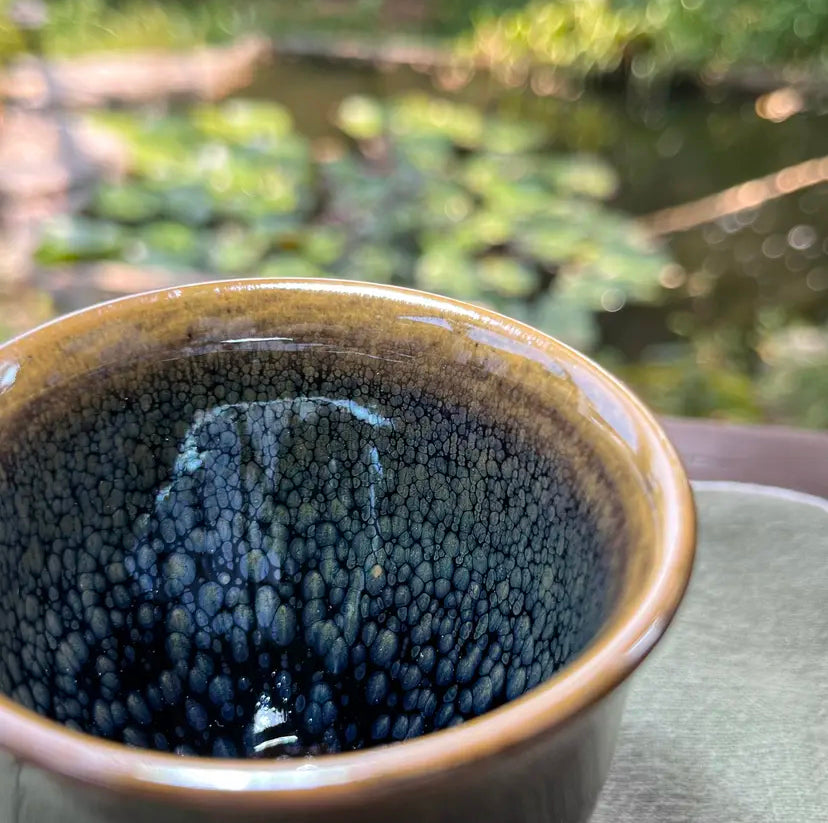 Oriental Carp Jian Zhan Glaze