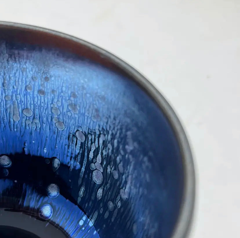 Oriental Carp Jian Zhan Glaze