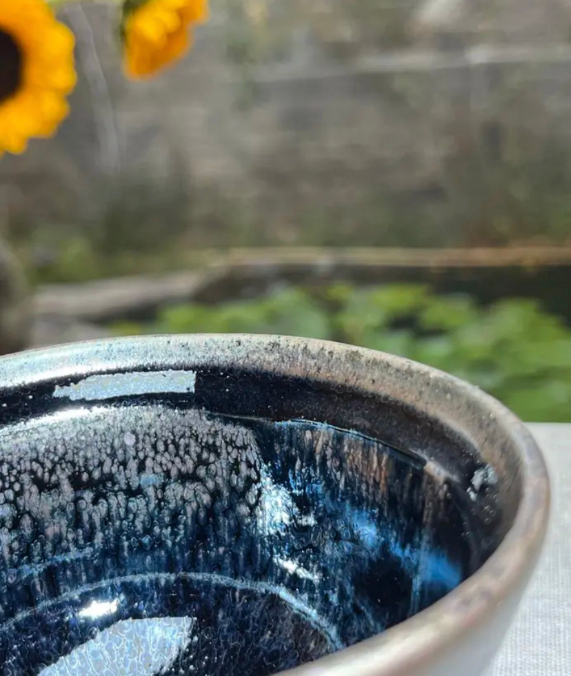 Oriental Carp Jian Zhan Glaze