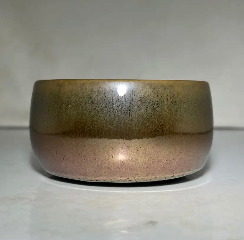 Oriental Carp Jian Zhan Glaze