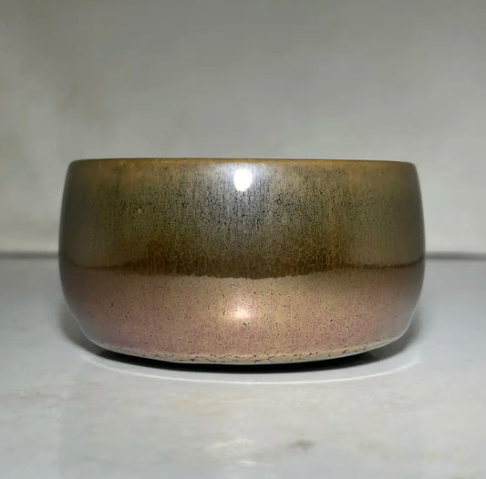 Oriental Carp Jian Zhan Glaze