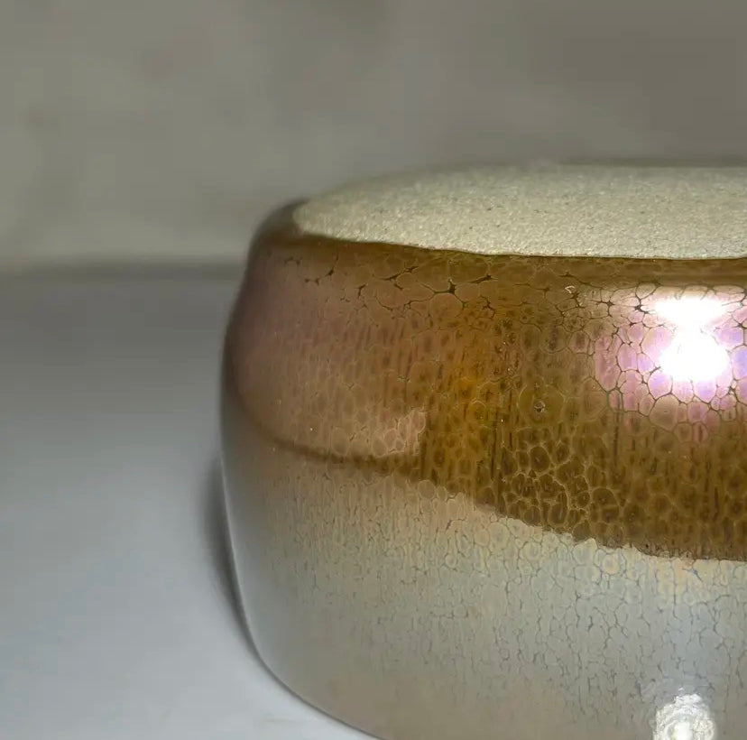 Oriental Carp Jian Zhan Glaze