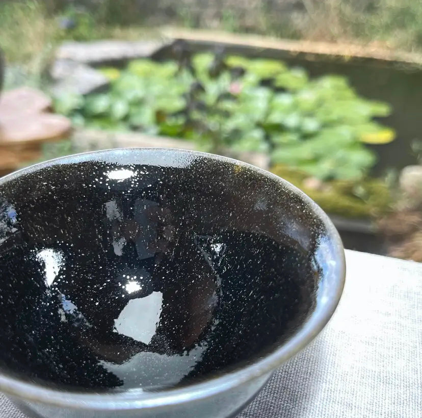 Oriental Carp Jian Zhan Glaze