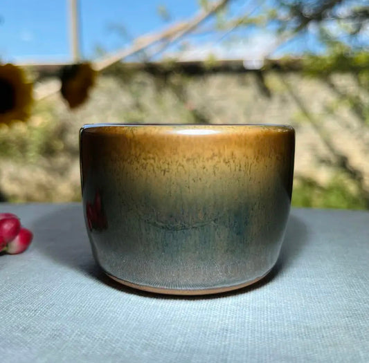 Oriental Carp Jian Zhan Glaze