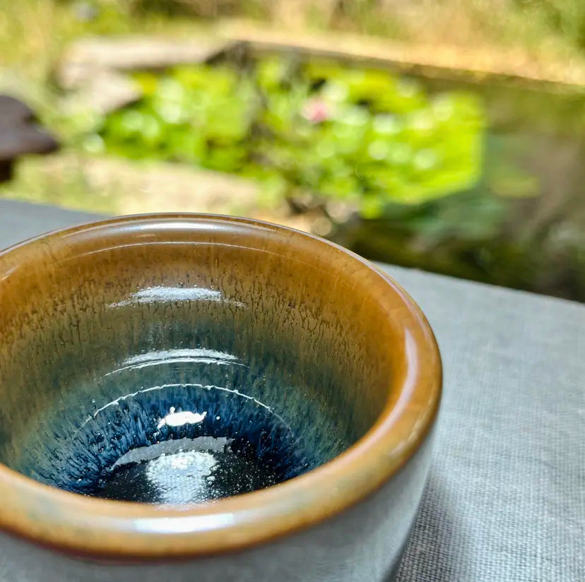 Oriental Carp Jian Zhan Glaze