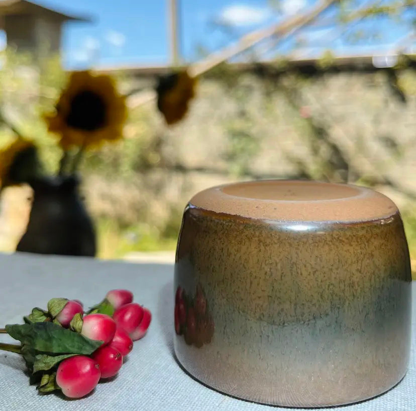 Oriental Carp Jian Zhan Glaze